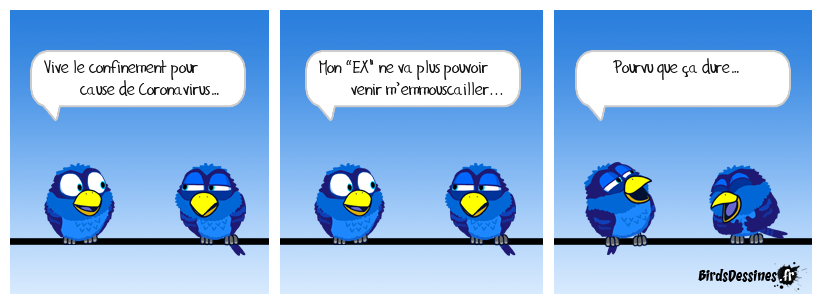 Papotage & Coronavirus… (Entre Birds Mâles).