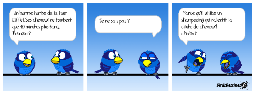 Les Z'oiseaux par Moi53 & gaveravar  Moi53_tres-drole_1587752877