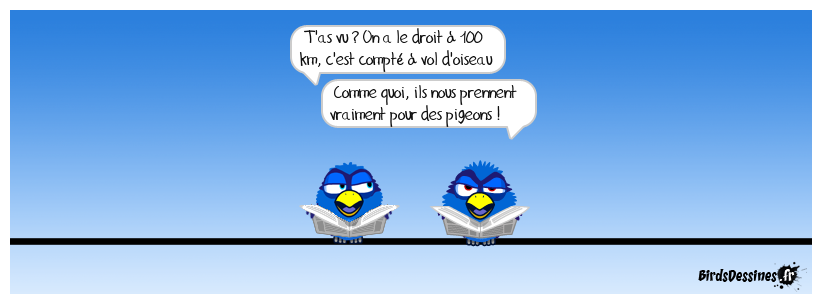 Vol d'oiseau