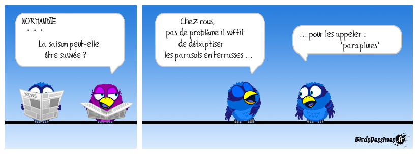 ♫ Le coin-coin du matin ♪ 19/06/2020 ♫