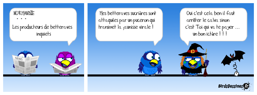 ♫ Le coin-coin du matin ♪ 30/07/2020 ♫