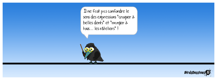 Libertés d'expressions (1)