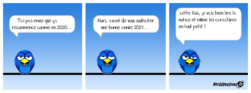 Bonne année 2021 !