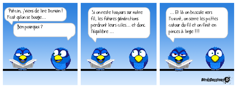 l'évolution ... EN théorie !