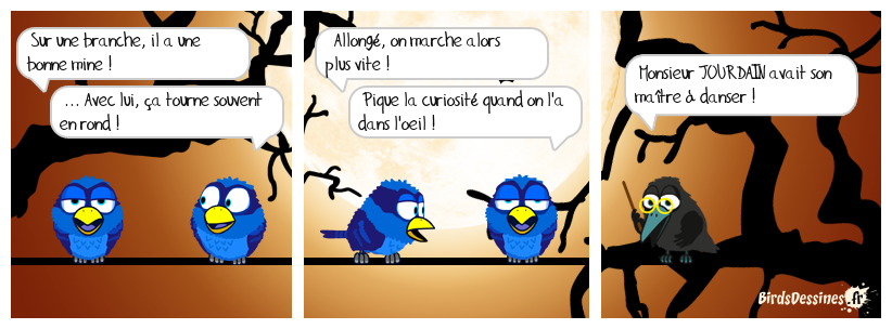 Verbidouillage n° 35