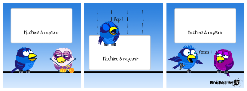 Une invention Bird