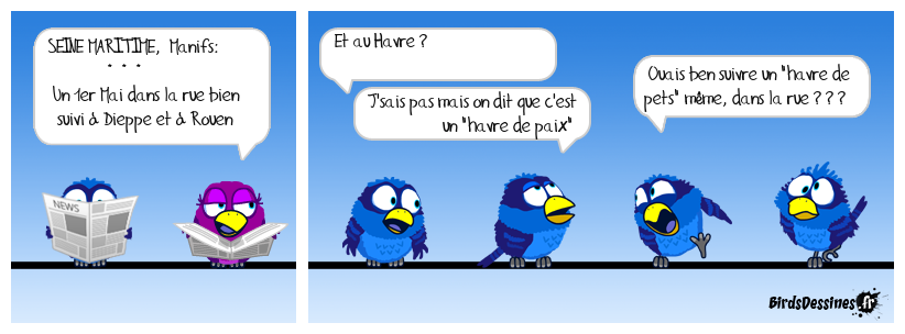 ♫ Le coin-coin du matin ♪ 02/05/2021 ♫