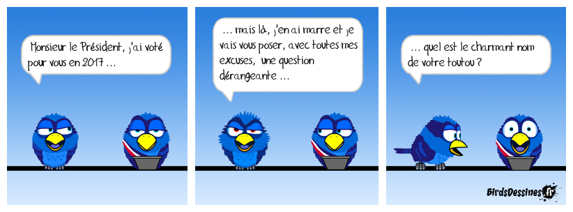 Macron ... 20 000 lieues sous la cambrousse !