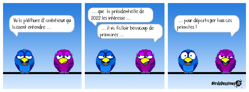 Tout ça pour élire un grand singe !