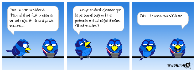 Bienvenue en Absurdistan đ
