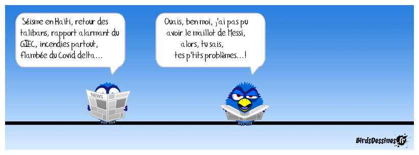 L'actualité des Birds