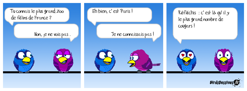 et de chattes aussi !