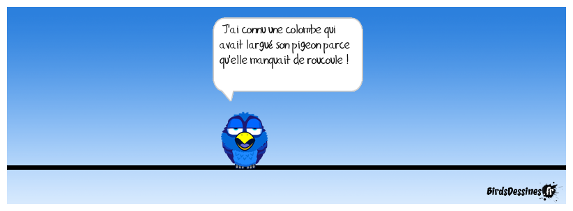 Le manque de recul chez les Birds