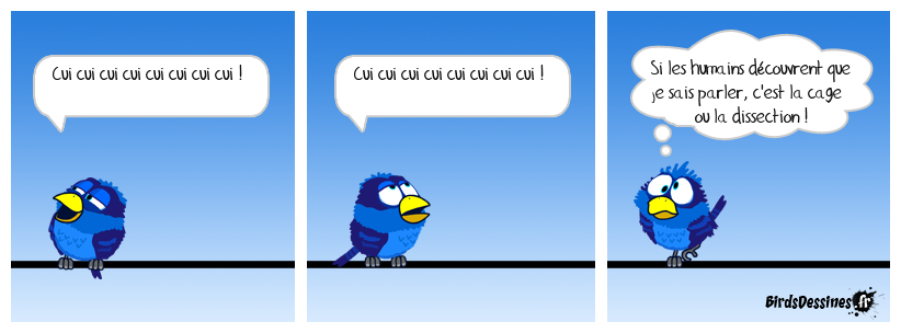 Sans commentaire. Prudence !