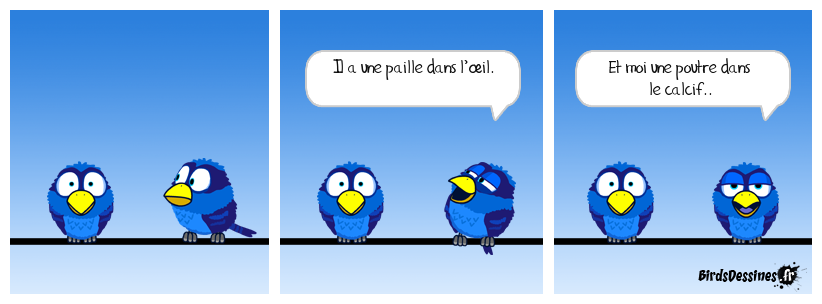 Aujourd'hui : Le Bird empaillé contre Keith le Mytho. Les palpitantes aventures du Bird empaillé - Épisode 13