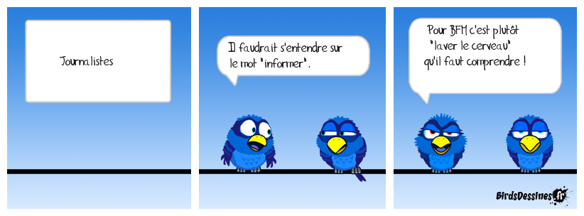 Déformation professionnelle où désinformation ?