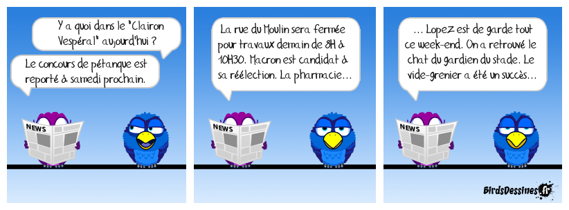 Ils ne parlent évidemment pas du problème des feuilles mortes qui s'accumulent dans la rue des Rosiers, les vaches ! Actualité locale