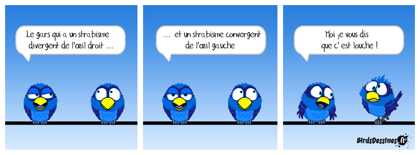 hétérotropie, jouer au billard et compter les points