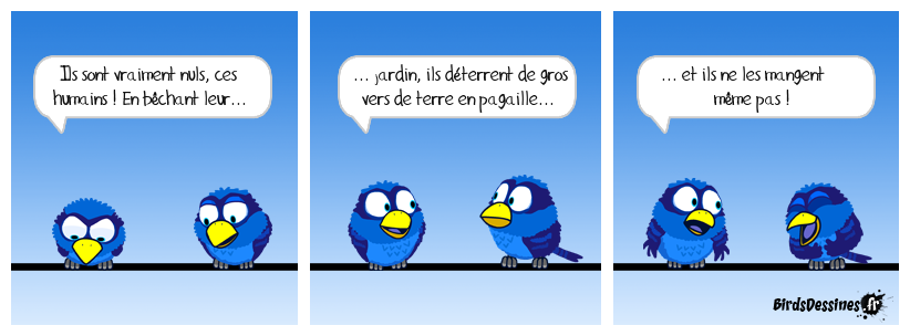 ... erreur au-delà. Vérité en deçà des Pyrénées...