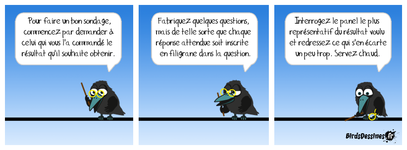 N'oubliez pas toutefois de bien expliquer à celui qui l'analysera pour le grand public ce que l'on attend de lui. (Mais bon, en général, il le sait déjà.) Pour faire un bon sondage