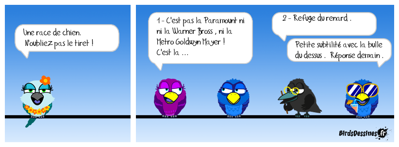 verbi nom d'un chien ! N° 11