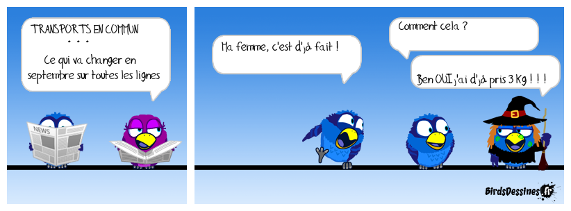 ♫ Le regard du
