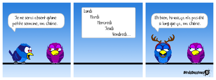 Le stage professionnel