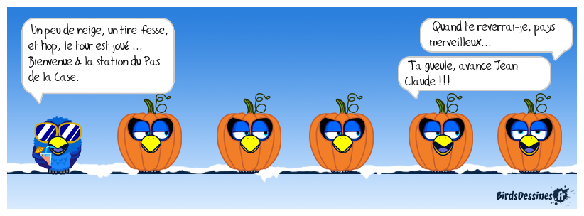 les birds font du ski.