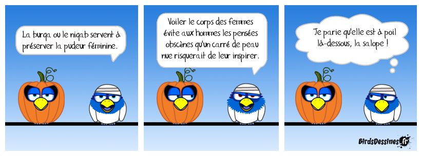 Cachez ce sein... euh !... cette femme que je ne saurais voir