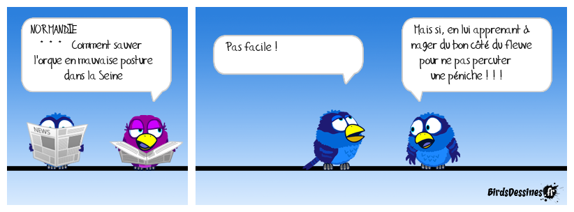 Salut ! À propos de péniche, je chausse du "44" ! ♫ Le regard du