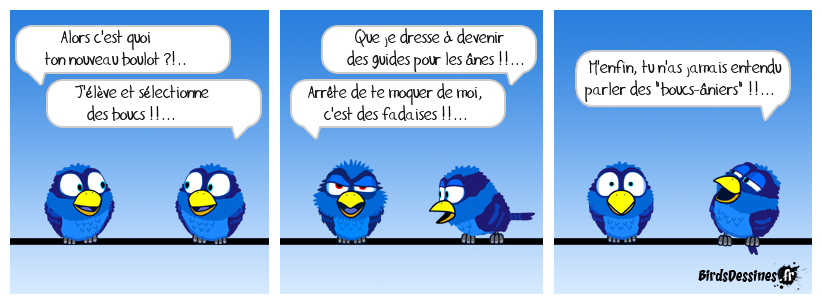 Ça serait bien dans le dico de Titoune !!..