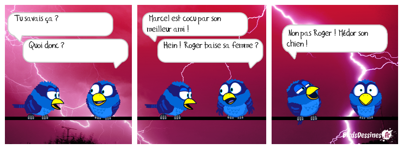 🤦‍♂️ Et ça se dit meilleur ami 🐶😨