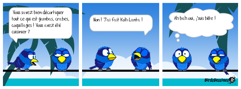 🏝️ C'est de là que vient l'expérience 🐚🦀🦐