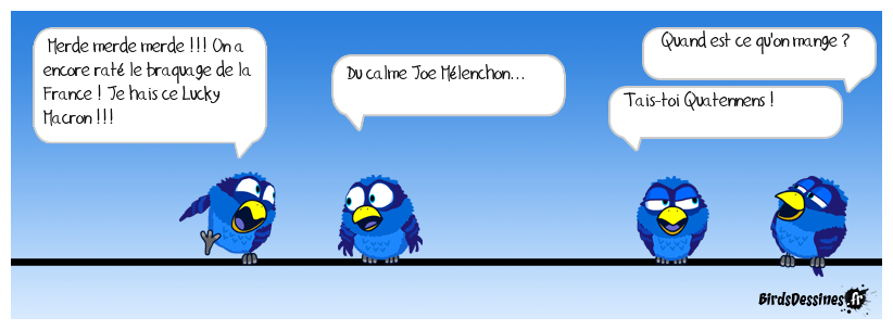 législatives : les daltons de la nupes.