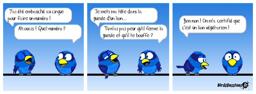 🎪 Embauche au cirque 🥶🦁