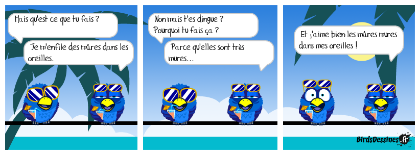 Les oiseaux // les birds   BD   satyrique  - Page 2 Gaveravar_une-vraie-histoir-de-fous_1659044704