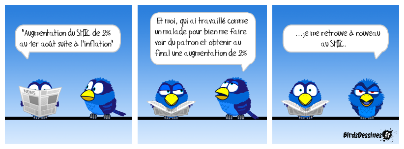 Sur le fil de l'actu 31: