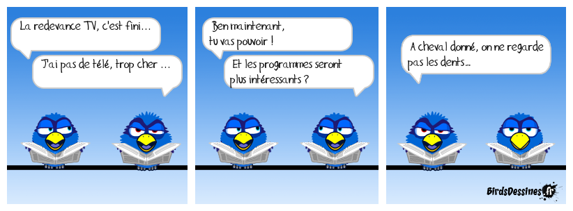 Questions à deux balles : Télévision ou vision d'une télé ?