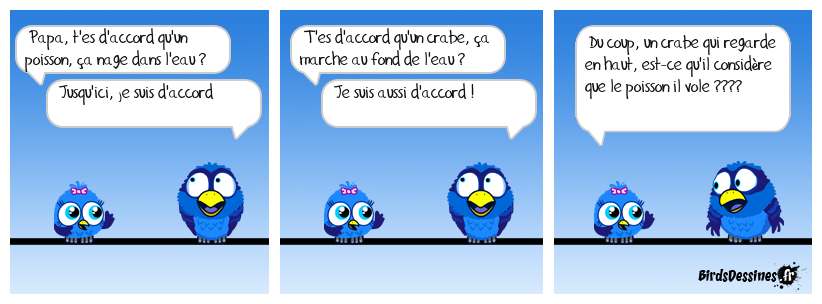 Un poisson qui vole ?