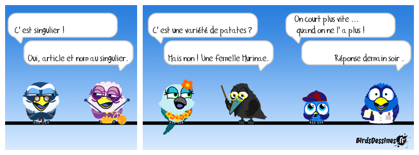 verb'anatomie N° 12