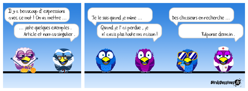 verb'anatomie N° 13