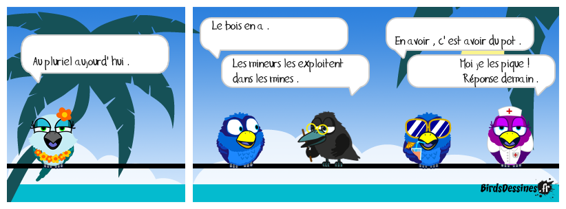 verb'anatomie N° 14