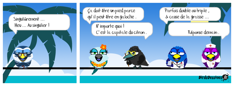 verb'anatomie N° 15