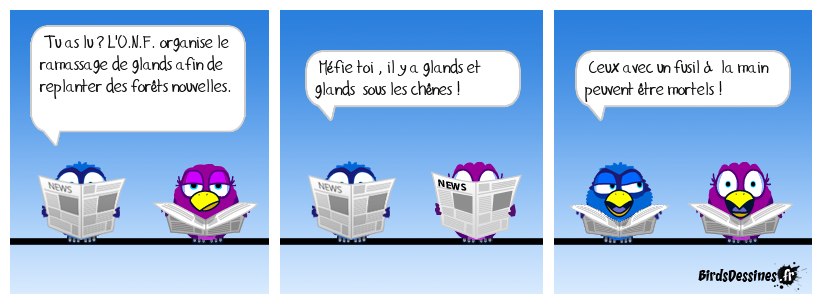 Un gland peut en cacher un autre  !