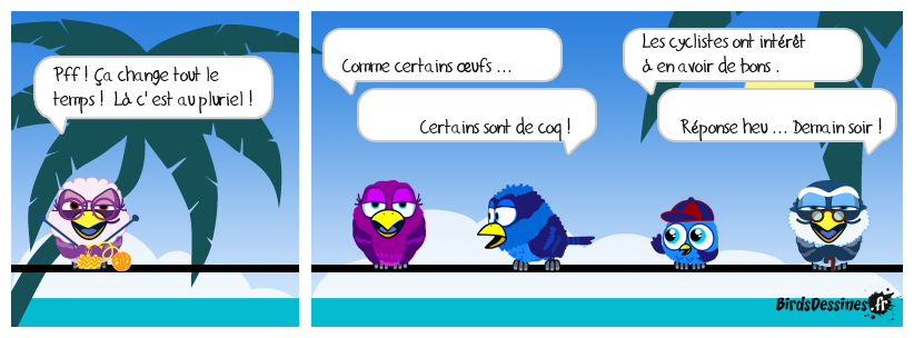 verb'anatomie N° 24