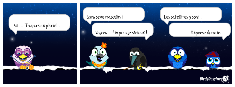 verb'anatomie N° 25