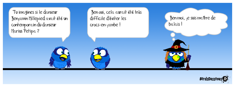 Conversation entre oiseaux, pas entre chats !