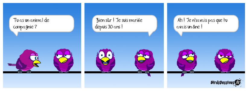 💕 Animal de compagnie 😂🐴