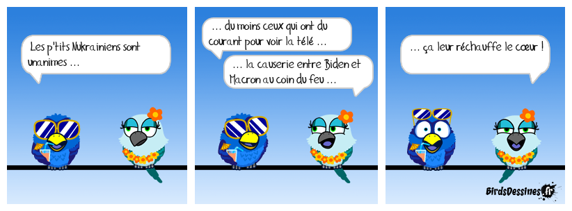 Ils en verseraient presque une larme si l'eau n'était pas si précieuse !