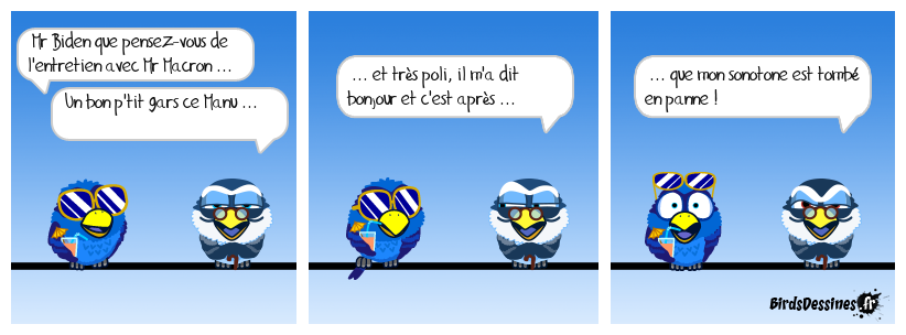 Les oiseaux // les birds   BD   satyrique  - Page 3 Chaudron_conciliabule-en-sourdine-autour-dun-pot_1670075101